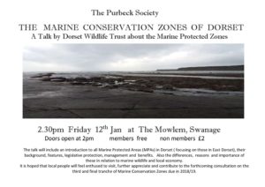Poster For Marine Preservation Talk