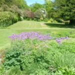 View of garden looking north