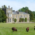 General view of house and grounds from drive