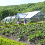 Walled garden