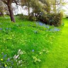 Manor grounds (FN)