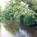 River Stour at Dorchester