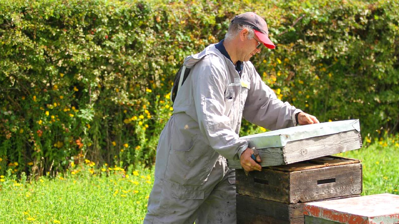 Field Honey Farms visit at Rempstone
