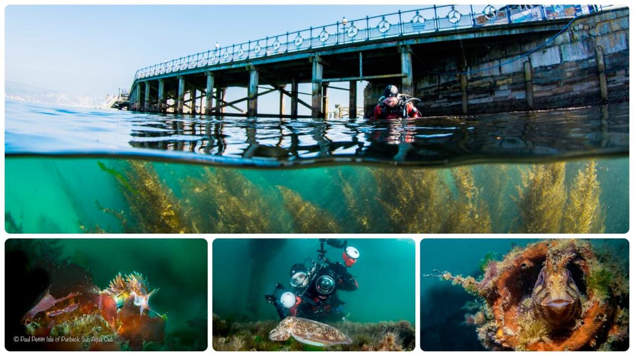 Underwater photograph exhibition on swanage pier