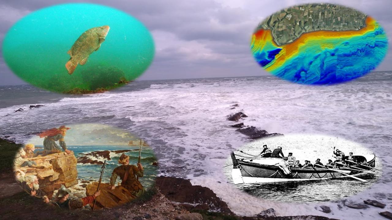 Wreck Reef and Rescue fi