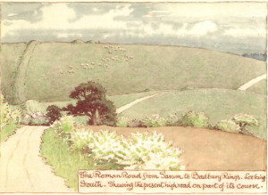 Cranbourne Chase