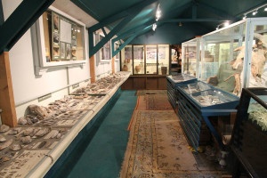 Down Farm museum
