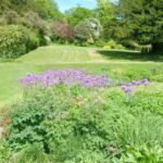View of garden looking north